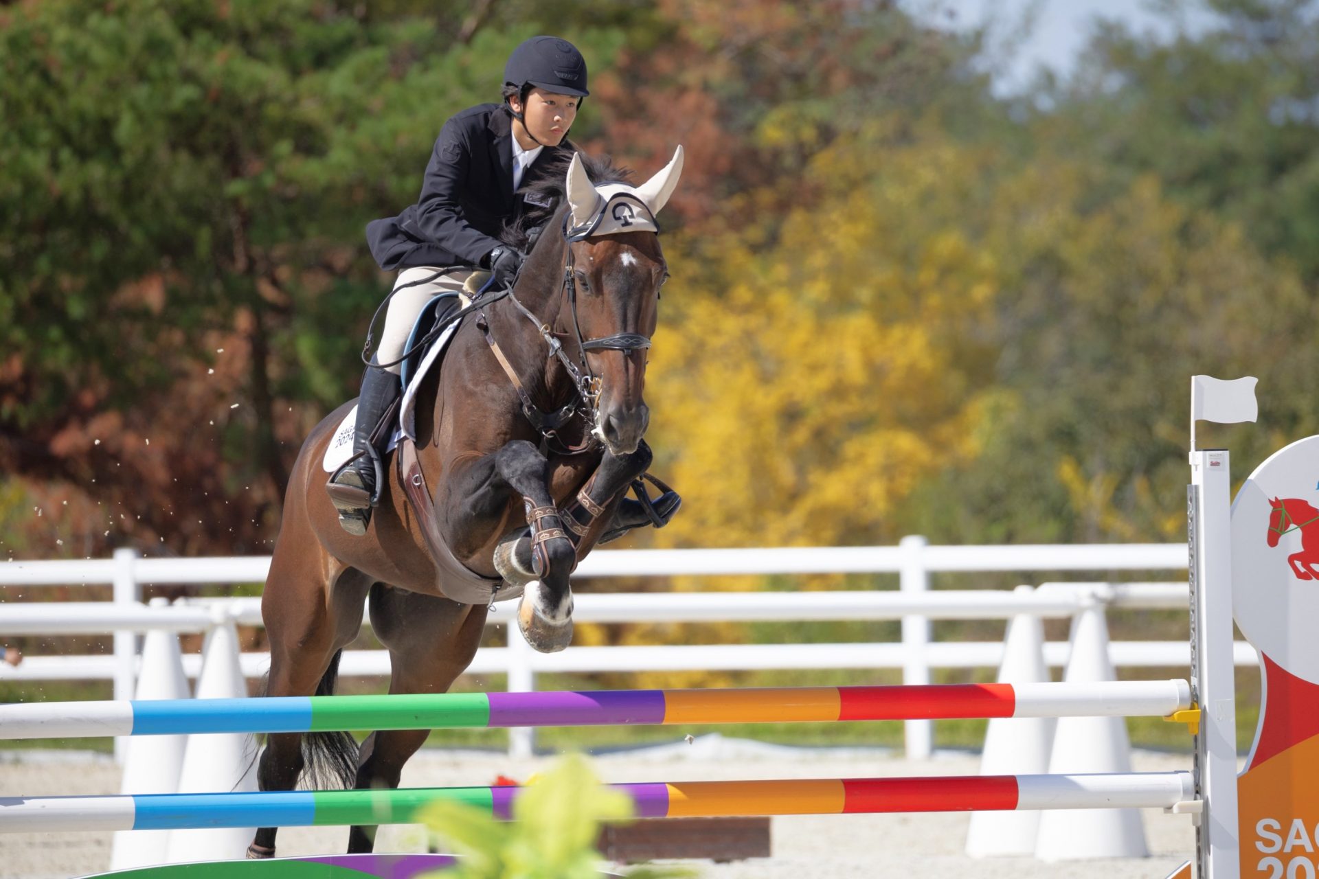 兵庫・三木で「SAGA2024国スポ 馬術競技会」総合優勝は滋賀 “初老